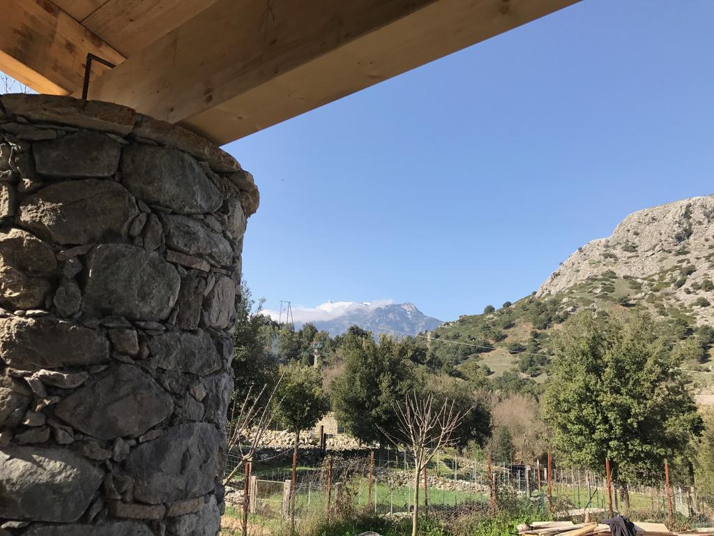 U Fragnu Guest House Omessa Bagian luar foto
