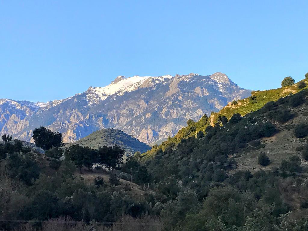 U Fragnu Guest House Omessa Bagian luar foto