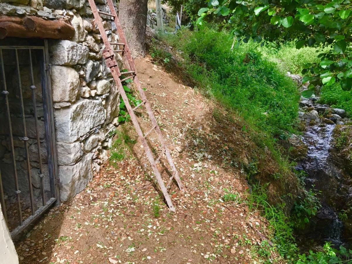 U Fragnu Guest House Omessa Bagian luar foto